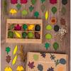 Giocattolo Foglia di Legno Bambino Montessori Scienze Biologiche Simulazione Forma Foglie Foresta Classificazione Giocattolo Sensoriale Educativo a Finale Aperto Regalo