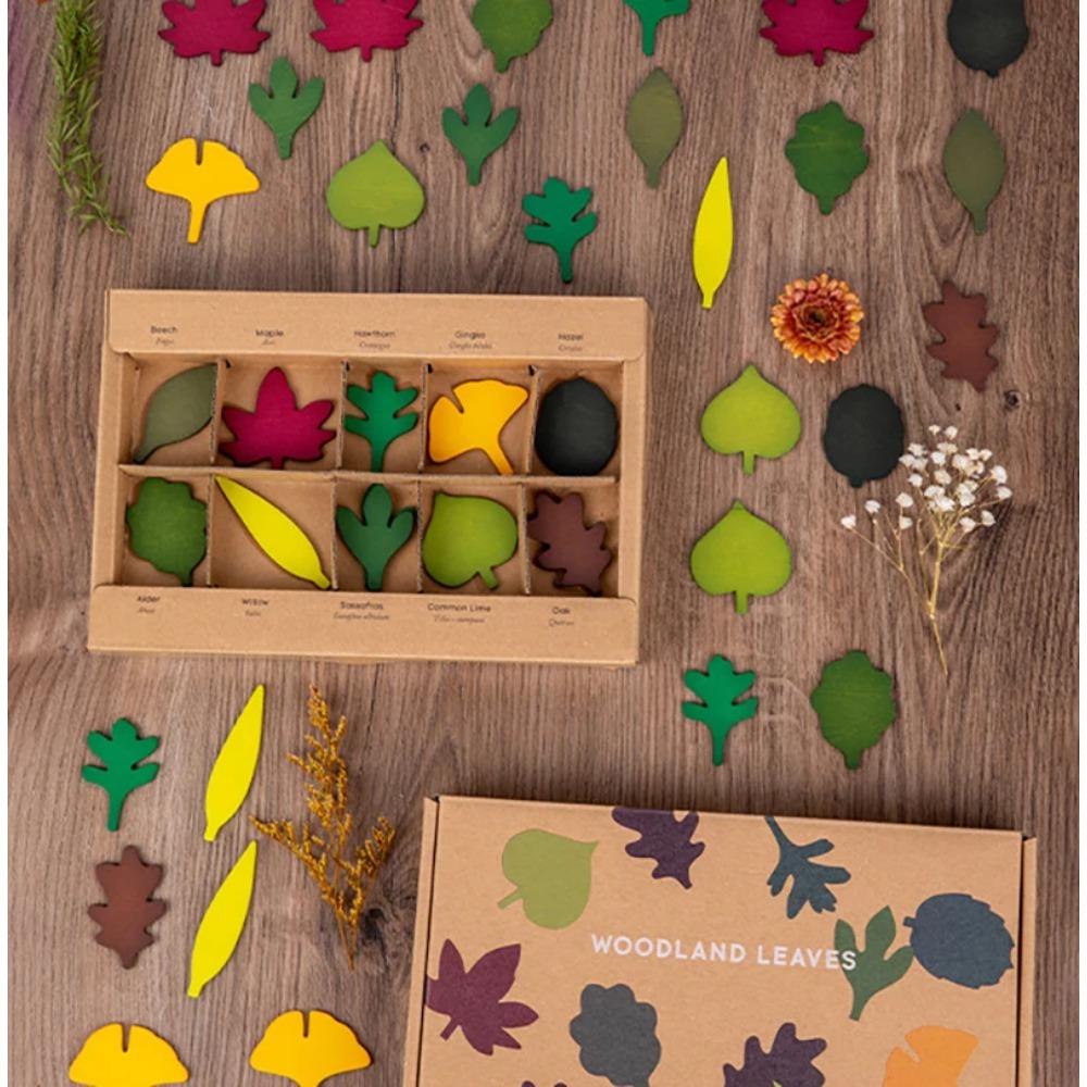 Giocattolo Foglia di Legno Bambino Montessori Scienze Biologiche Simulazione Forma Foglie Foresta Classificazione Giocattolo Sensoriale Educativo a Finale Aperto Regalo
