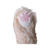 Sunlemon Knee Cat Plush Toy 11x29x12cm Cute Animal Stuffed Cat P-8022