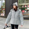 Autumn and Winter Women's Plus Size Loose Comfortable Padded Thickened Short Zipper Hooded Warm Outerwear