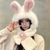 Bunny Ear Plush Hat And Scarf For Women Winter Style Cute Thick Warm Ear-Protecting Lei Feng Hat