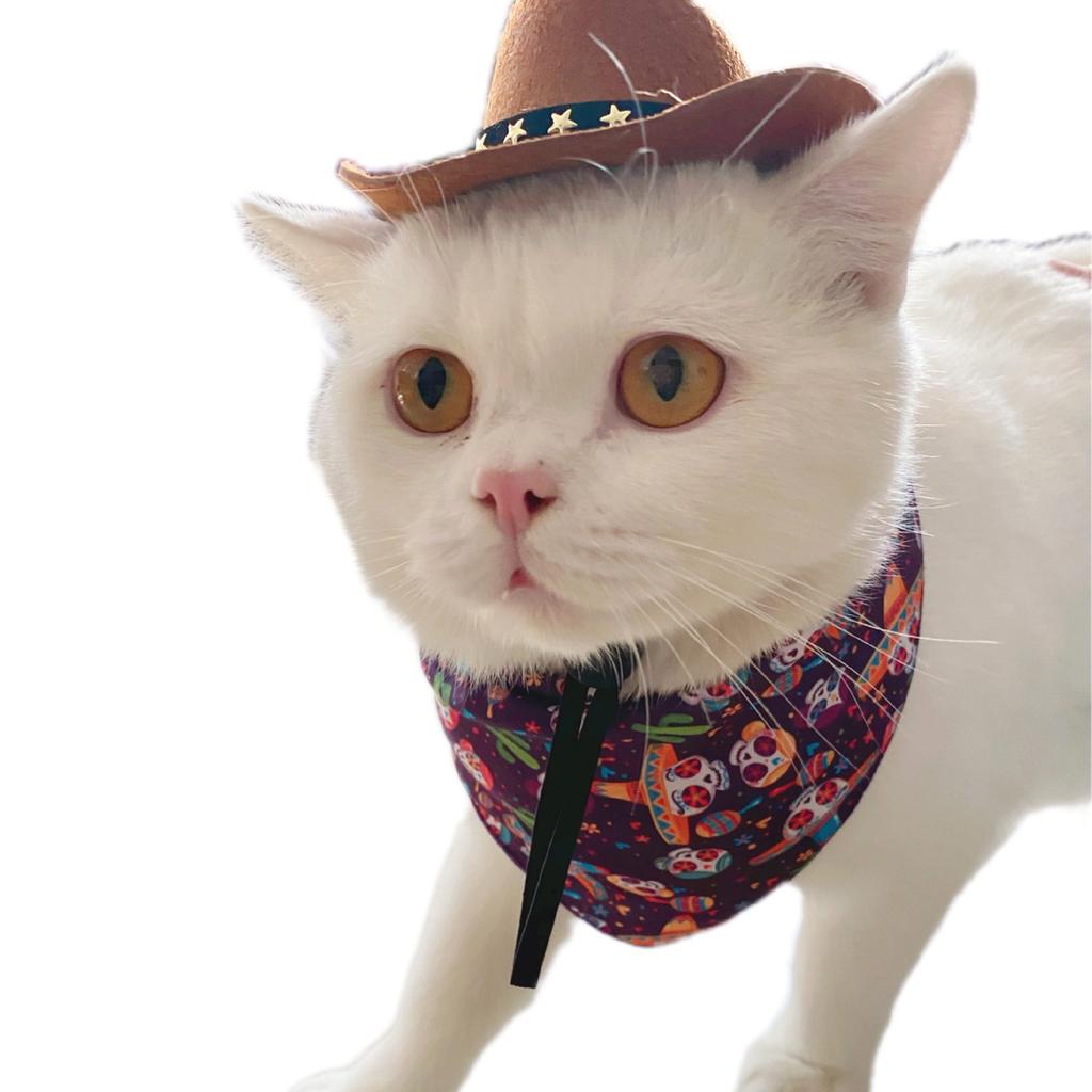 Funny Cat Hat Cowboy Hat Costume Birthday Western Cowgirl Accessories Pet Headwear Adjustable Cap for Cosplay Cowboy