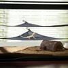 Hanging Pet Accessories Elastic Bearded Dragon Hammock Lizard Bed Reptile Habitat Bird Ladder