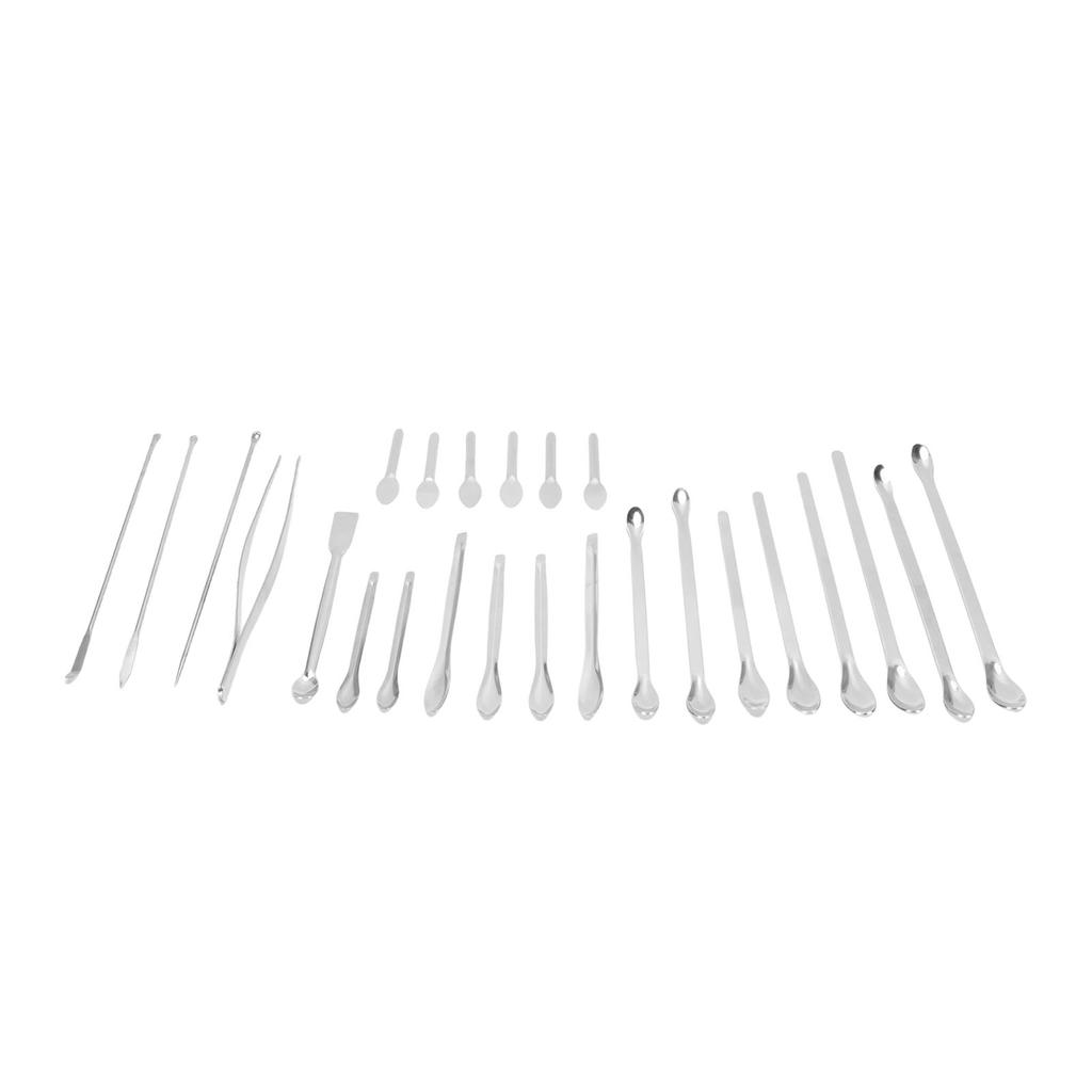 25Pcs Laboratory Spoon Spatula Tweezers Set 304 Stainless Steel Long Handle Multifunctional Laboratory Sampling Scoop