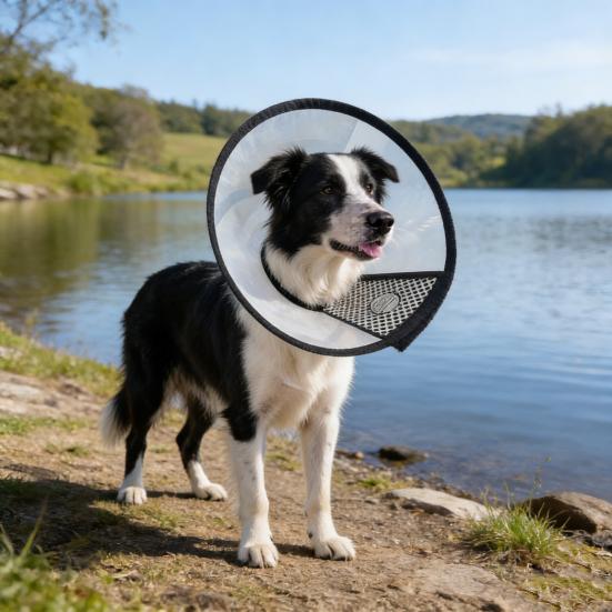 Pet Cone Collar Adjustable Cat Recovery Collar Dog E-Collar Prevents Licking Biting Wound for Postoperative Recovery Bathing And Nail Trimming