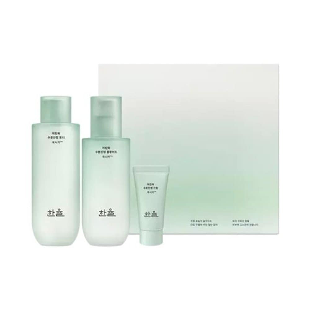 

Young mugwort moisturizing soothing 2-piece set