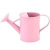 Iron Watering Can 20oz Easy Grip Handle Design for Precise Indoor and Outdoor Plant Care Gardening Supply