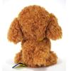 Sunlemon Toy Poodle BR S 13 x 12 x 15 cm Plush Animal Animal Brown Cute Dog Pups! P-5912