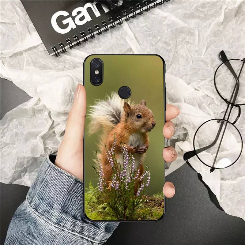 YNDFCNB Cute Animal Squirrel Customer Phone Case for Xiaomi Redmi 5 5Plus 6 6A 4X 7 7A 8 8A 9 Note 5 5A 6 7 8 8Pro 8T 9