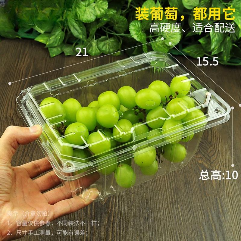 Handun Disposable Round Plastic Fruit Containers