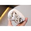 Summer new baby shoes children's sandals boys' soft sole walking shoes girls' closed-toe toddler shoes