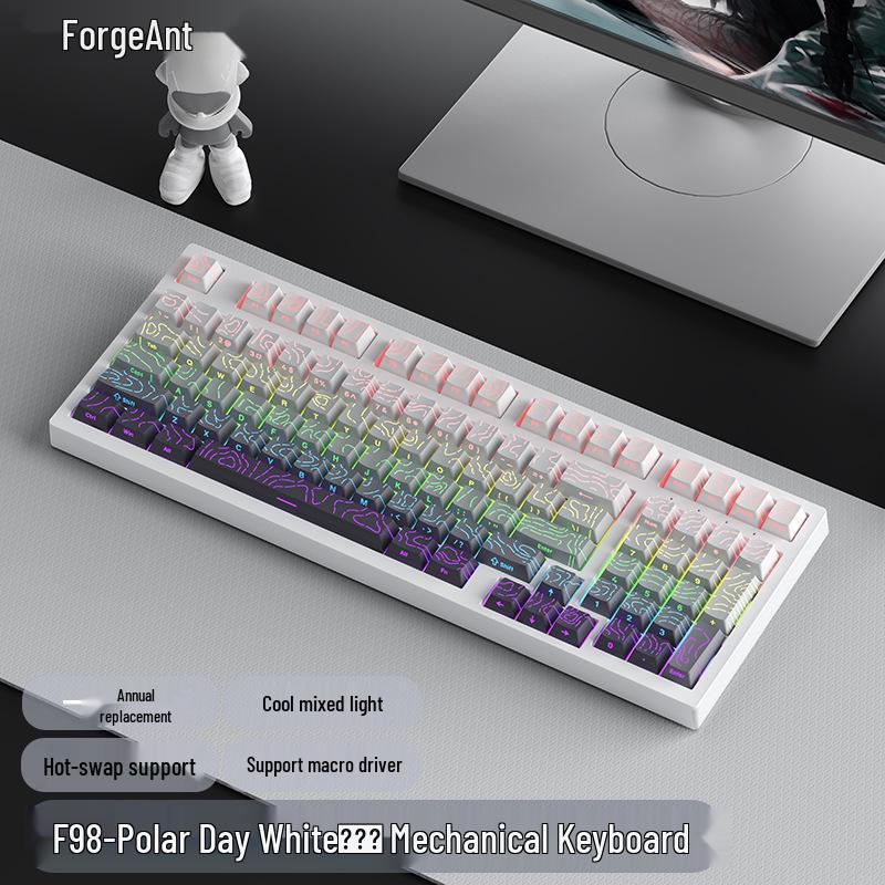 RuiYi F98 Wired 98-Key Mechanical Keyboard, Hot-Swappable, Side-Printed, Full-Key Anti-Ghosting, Office/Gaming.