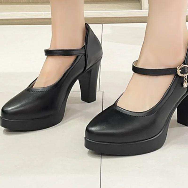 Fashion Ankle Strap Thick Heels Pumps for Women 2024 Pu Leather Office High Heeled Shoes Woman's Elegant Platform Mary Jane Shoes Casual