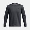 Men's Crewneck Sweatshirt 1387122-001