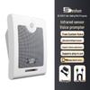 DESHUN 620XT Infrared Voice Prompt Announcer