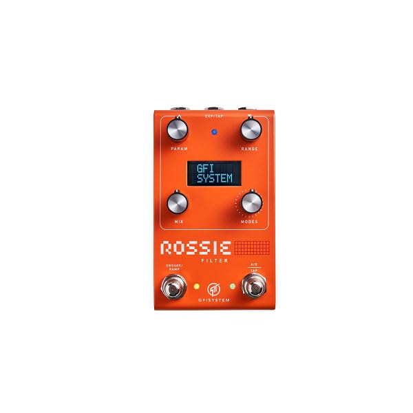 

GFI SYSTEM ROSSIE Compact Effector Multi Filter GFI System