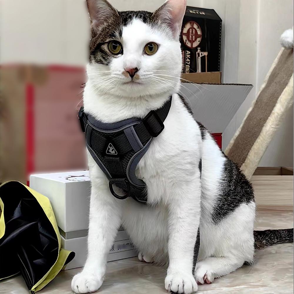 Sada vodítek pro psy Nastavitelná vesta s postrojem pro malé psy Kočka Reflexní síťovina pro štěně Hrudní popruh pro kočky Příslušenství pro psy