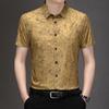 Middle-Aged & Young Minimalist Casual Lapel Collar Men's Shirt Summer Comfortable Short Sleeve Top