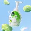 Dettol Disinfecting Foam Hand Wash