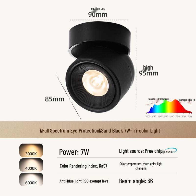 Adjustable Rotatable Surface-Mounted Downlight for Living Room, Aisle, Entrance, Bedroom - No Main Light Required