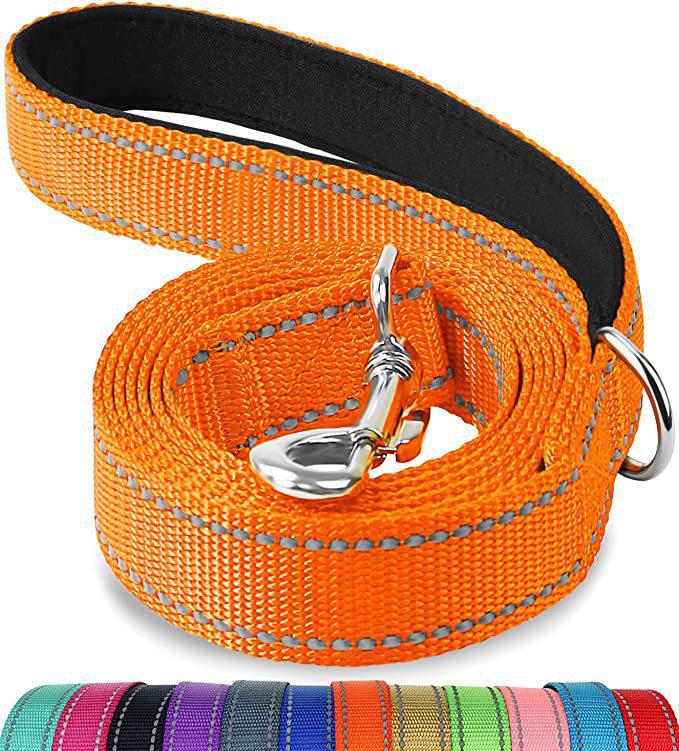 Reflective Explosion-Proof Shock-Absorbing Double-Handle Leash for Large Dogs
