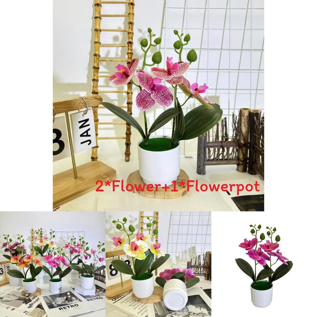 Butterfly Orchid Decorative Plant With 3d Film In Multiple Colors For Home And Event Decoration