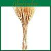 Dried Ears Bouquet Flowers Wheat Opening Barley Pastoral Decoration Gift Box Props Wheat Handicraft Layout Simulation