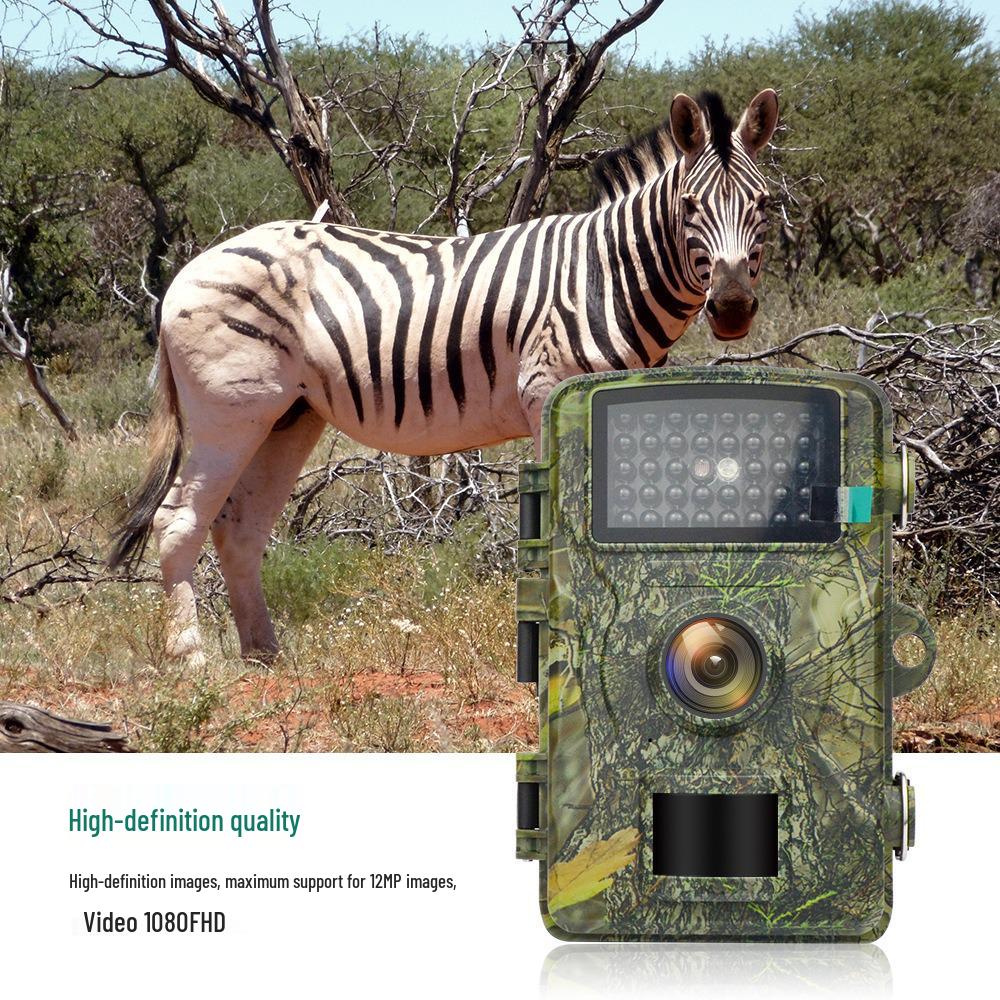 Waterproof IP66 Infrared Night Vision Wildlife Camera for Outdoor Monitoring