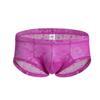 Men's Low-Waist Sexy Red See-Through Mesh Briefs
