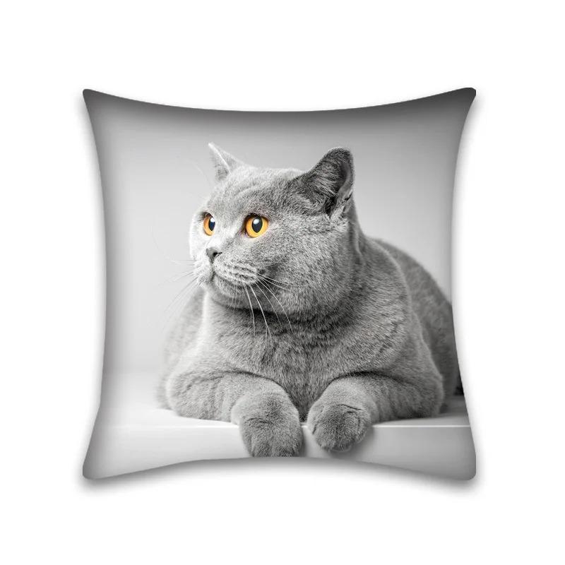Colorful Cat Animal Decorative Pillowcase Living Room Office Ornaments Home Pillowcase