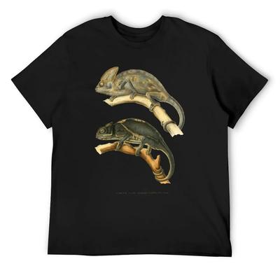 T-shirts e tops – T-Shirts
