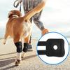 Dog Knee Pads Protector for Injury Recovery Breathable Support Bandage Wrap for Hock Joint Leg Protection