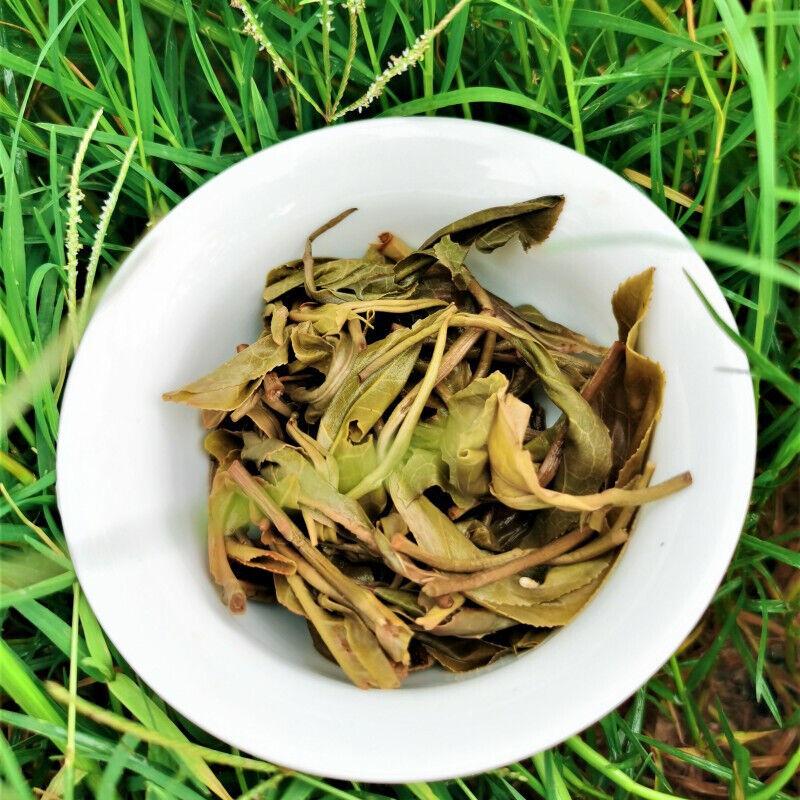 357g Pu-Erh Spring Tea Cake Zhonghong Yin Bow Chá da Árvore Antiga Yiwuwanggong