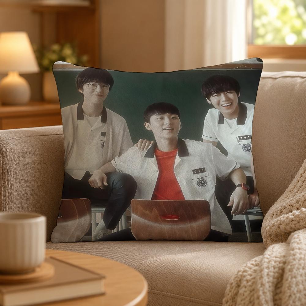 Series Weak Hero Class One Cushion Cover Personalized Short Plush Cushion Cover Sofa Pillowcase Bedroom Home Decor Gift