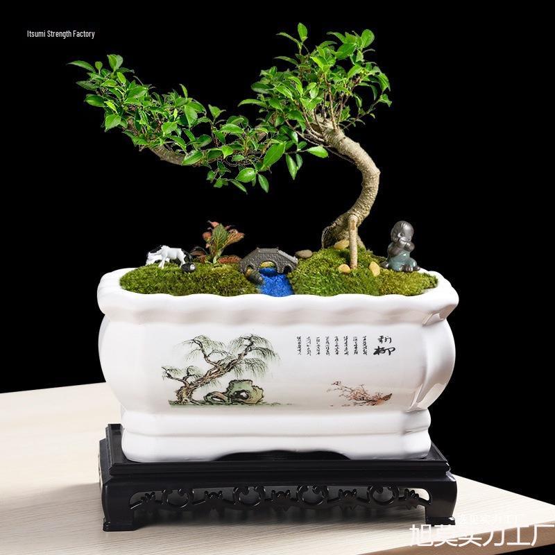 Large Ceramic Rectangular Flower Pot for Indoor Orchids, Succulents & Ficus