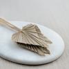 Palma Cięta, Wachlarz, Strzałka (Palm Spear) - Naturalna