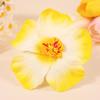 5 Pieces Tropical Flower Hair Clip for Women Girls Lightweight Comfortable Hair Ornament Secure Grip Cloth Fabric