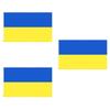 Stunning Blue Yellow 3x5 Ft Ukraine Flag For House Decoration