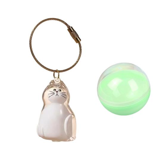 Cat Hair Storage Bottle Transparent Pet Fur Keepsake Keychain for Collecting Cat And Dog Hair Pet Memorial Gift