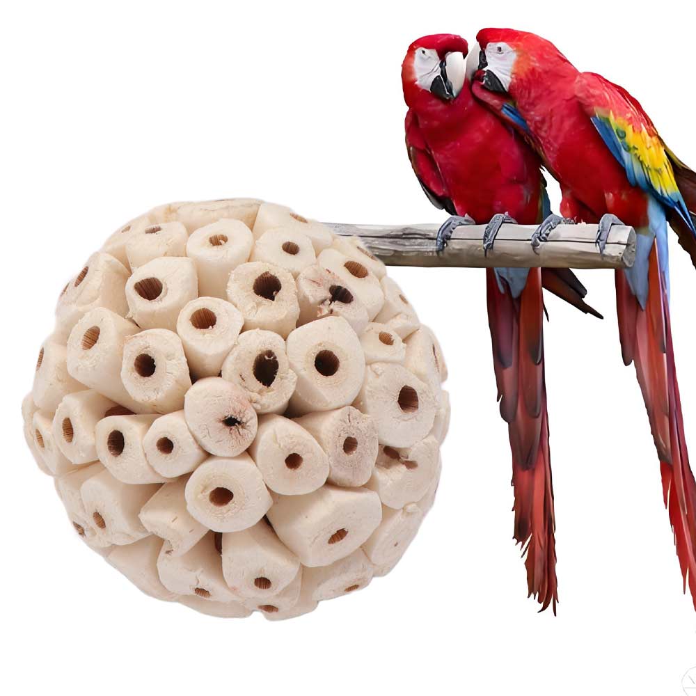 Vogelzubehör Zahnmahlwerk Wellensittiche Kauspielzeug Vogelspielzeug Sola Ball Interaktives Spielzeug Mahlspielzeug