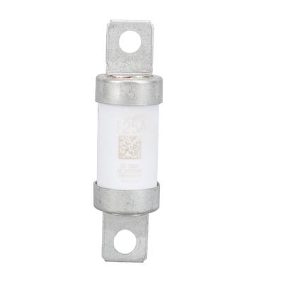 Car High Voltage Automotive Fuse 125A New Energy Vehicles High Voltage Automotive Fuse for PECJ