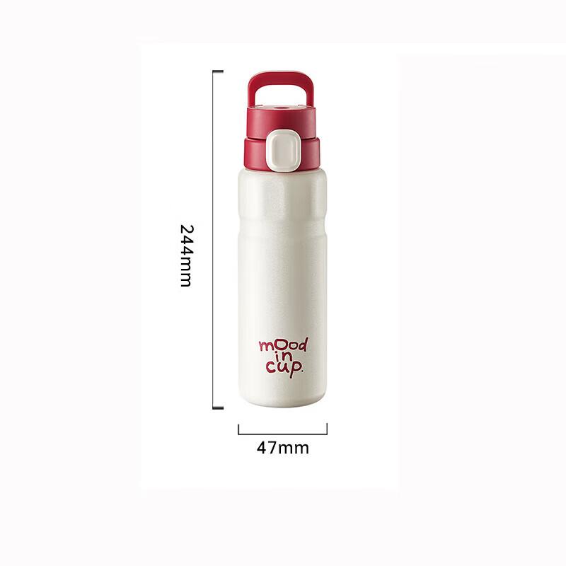WUSW Lvdong Sport Insulated Water Bottle