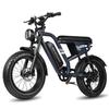 Maxturn MX10 Off-Road E-Mountain Bike 48V13.5Ah Battery 500W Motor 180KG Load 100km Range 20 Inch Fat Tires Off-Road Electric Bicycle
