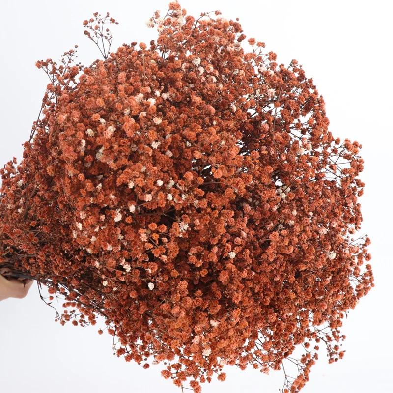 Dried Flowers Babys Breath Bouquet Ivory White Flowers Natural Gypsophila Branches for Home Decor Wedding Flowers Bulk for Vase