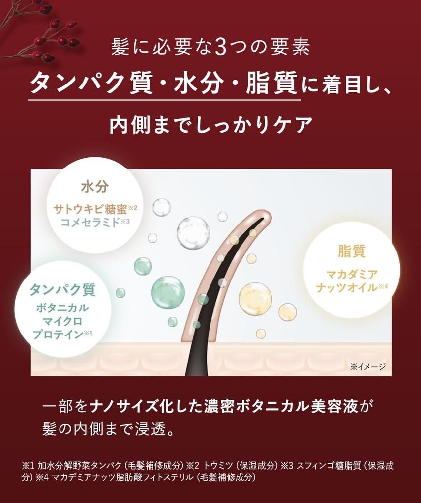 Lucky BOTANIST Lucky Bag Shampoo Treatment Body Soap 6 Piece Set Damage Care [2025 Bag] [Web Only]