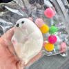Simuliertes Robben-Quetschspielzeug Angst-Stressabbau Langsam aufsteigendes Meerestier Knet-Sensorikspielzeug Weicher Stressball Fidget-Spielzeug