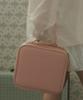 [Rozipique] Rosy Pique Stylish Cosmetic Makeup Pouch (1000000038)