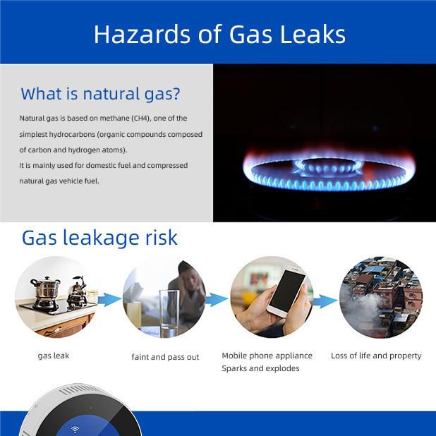 Detectoare de gaz natural Graffiti WiFi Alarme