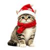 Durable Holiday Window Stickers Christmas Animal Static Clings, Cute Cat/Puppy/Racoon Stickers, PVC Winter Home Accents Waterproof Glass Sticker