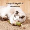 Silvervine Catnip Teaser Wand: Extra Large, Bite-Resistant Cat Toy for Self-Play, Boredom Relief, Teeth Grinding, and Cleaning.